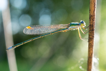 Similar image 22061076