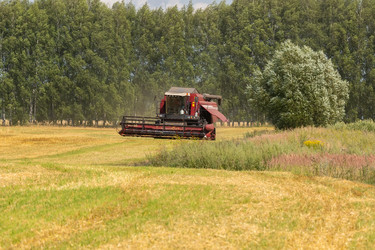 Similar image 22061421