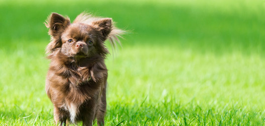 Similar image 22060483