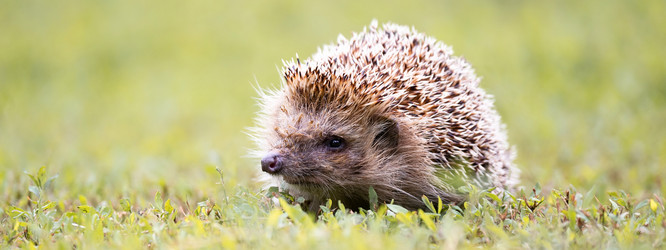 Similar image 22060487