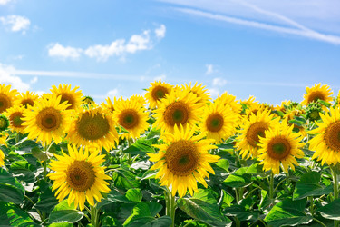 Similar image 22060875