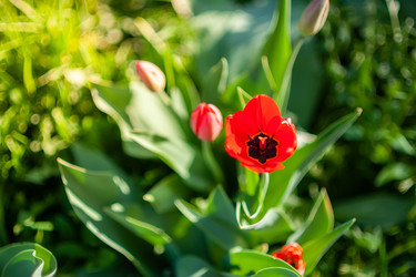 Similar image 22060887