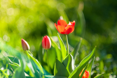 Similar image 22061088