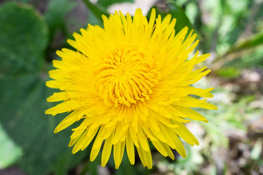 Similar image 22061097