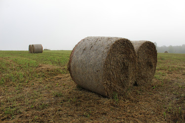 Similar image 22081013