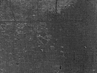 Similar image 22070176