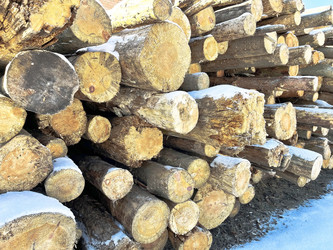 Similar image 22070228