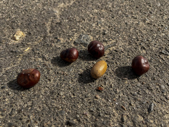 Similar image 22071341