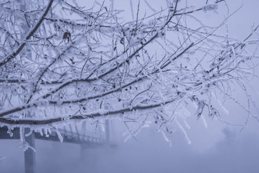 Similar image 22062235