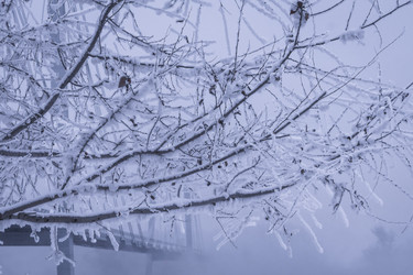 Similar image 22062238