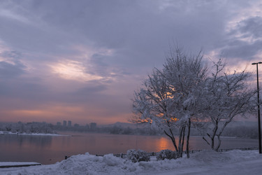 Similar image 22062241