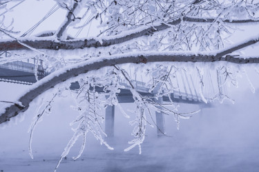 Similar image 22062256