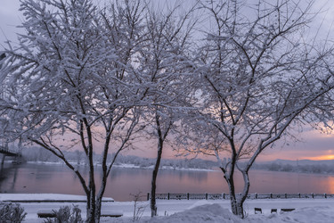 Similar image 22062257