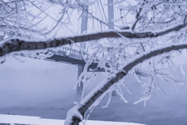 Similar image 22062260