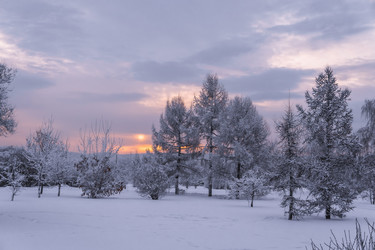 Similar image 22062262