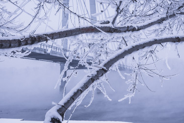 Similar image 22062265