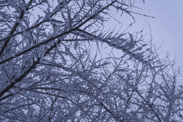 Similar image 22062278