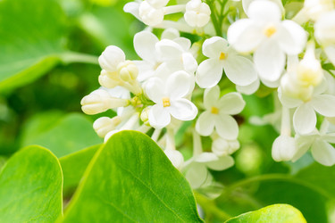 Similar image 22060507