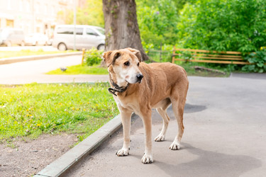 Similar image 22060510