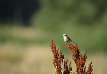 Similar image 22060514