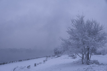 Similar image 22062284