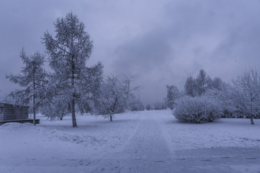 Similar image 22062290