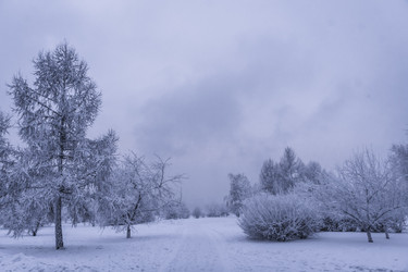 Similar image 22062296