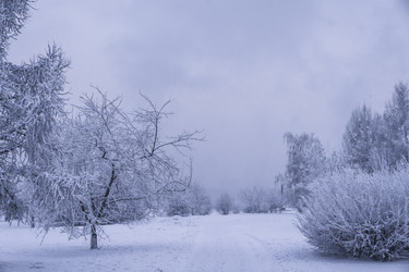 Similar image 22062298