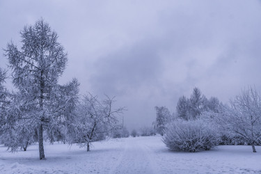 Similar image 22062300