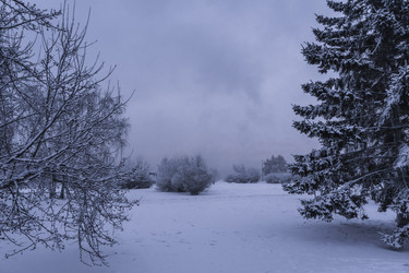 Similar image 22062314