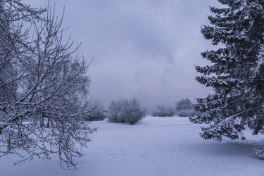 Similar image 22062316