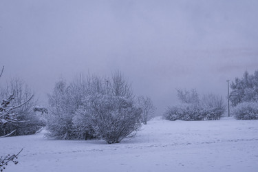 Similar image 22062318