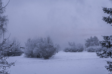 Similar image 22062320