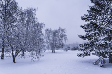 Similar image 22062324