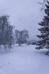 Similar image 22062326