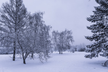 Similar image 22062328