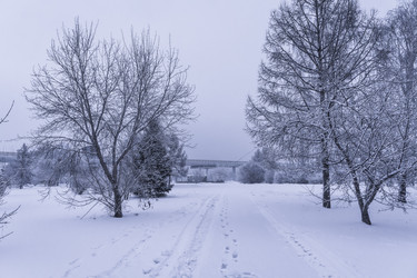 Similar image 22062330