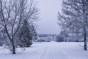 Similar image 22062332