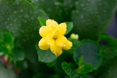 Similar image 22060251