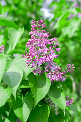 Similar image 22060253