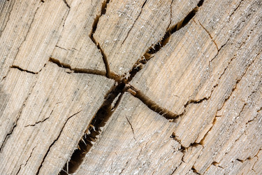 Similar image 22060263