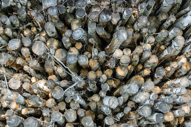 Similar image 22060264