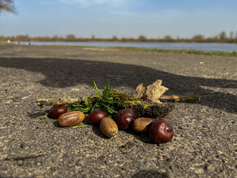 Similar image 22072403