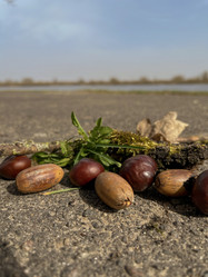 Similar image 22072405