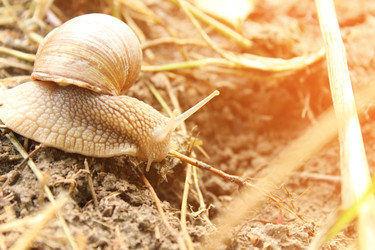 Similar image 22081015