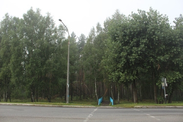 Similar image 22081022