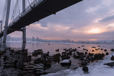 Similar image 22062347