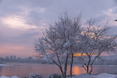 Similar image 22062355