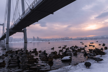 Similar image 22062359