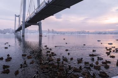 Similar image 22062362